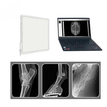 4343Z Panel Detektè
