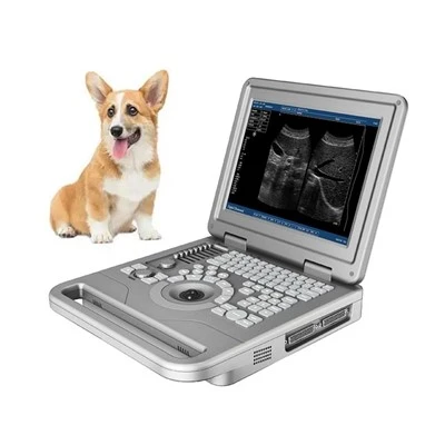 B/w ultrason machin ftl-uts20